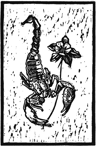 Scorpion and Columbine Linocut Print